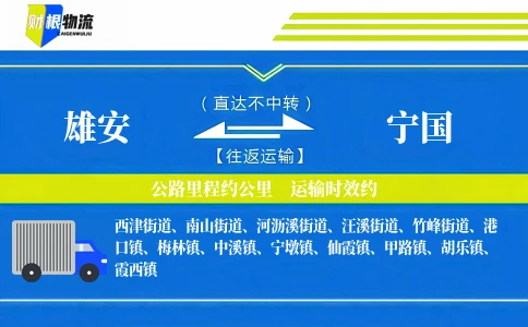 雄安到宁国物流公司