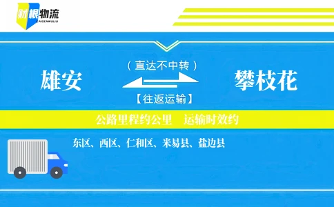 雄安到攀枝花物流公司