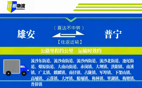 雄安到普宁物流公司