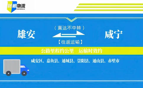 雄安到咸宁物流公司