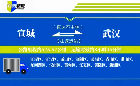 宣城到武汉物流公司