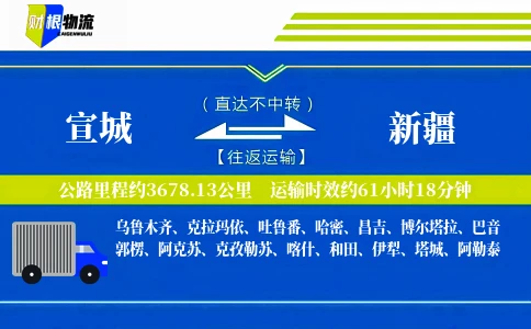 宣城到新疆物流公司