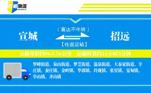 宣城到招远物流公司