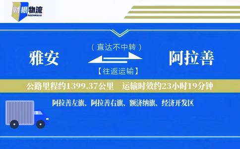 雅安到阿拉善物流公司