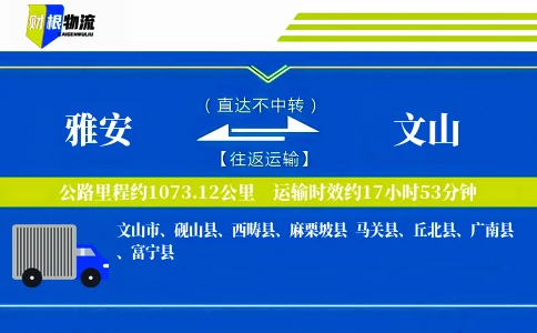 雅安到文山物流公司