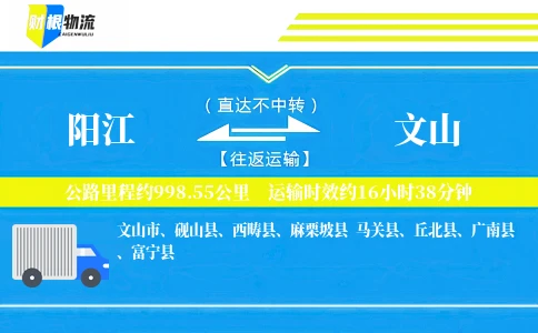 阳江到文山物流公司