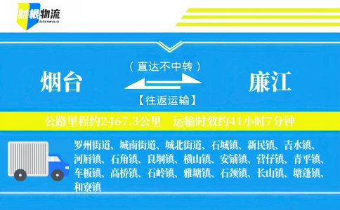 烟台到廉江物流公司
