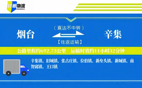 烟台到辛集物流公司