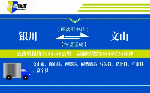 银川到文山物流公司