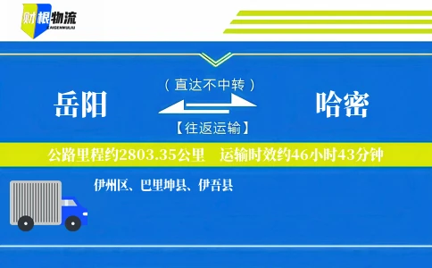 岳阳到哈密物流公司