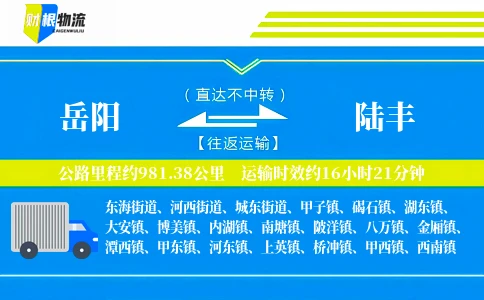 岳阳到陆丰物流公司