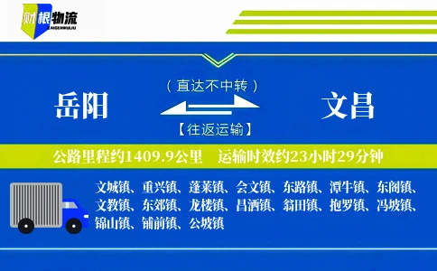 岳阳到文昌物流公司