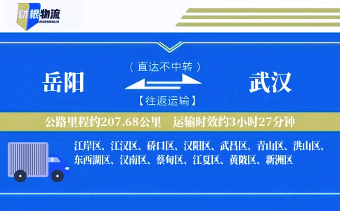 岳阳到武汉物流公司