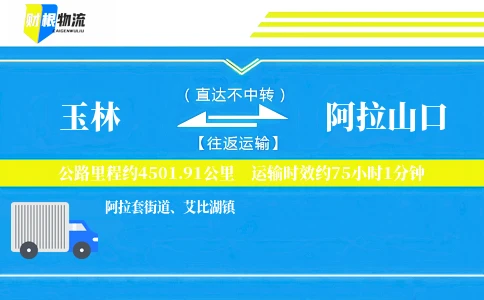 玉林到阿拉山口物流公司