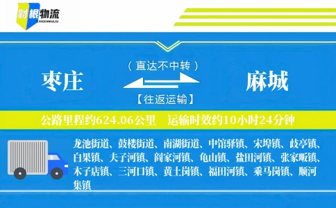 枣庄到麻城物流公司