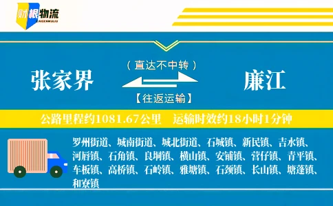 张家界到廉江物流公司