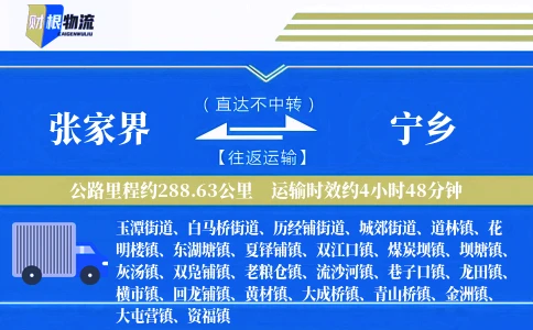 张家界到宁乡物流公司