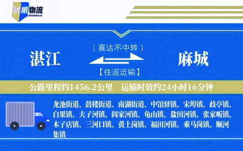 湛江到麻城物流公司