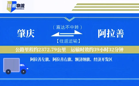 肇庆到阿拉善物流公司