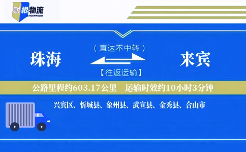 珠海到来宾物流公司