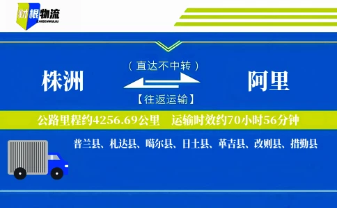 株洲到阿里物流公司