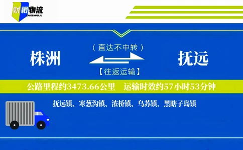 株洲到抚远物流公司
