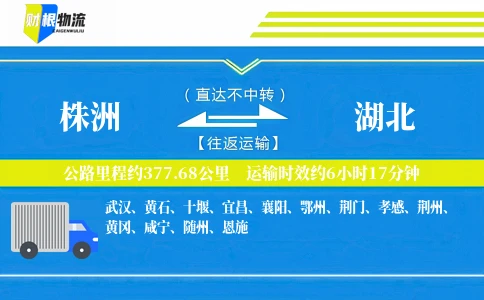 株洲到湖北物流公司