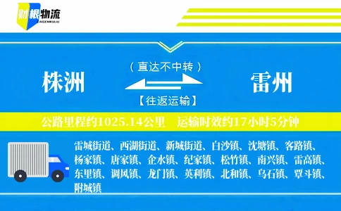 株洲到雷州物流公司