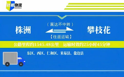 株洲到攀枝花物流公司