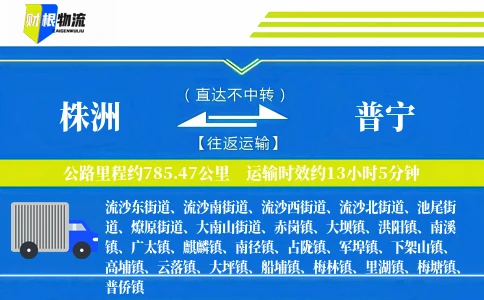 株洲到普宁物流公司