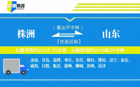 株洲到山东物流公司