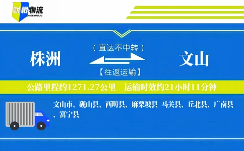 株洲到文山物流公司