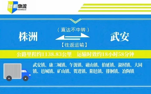 株洲到武安物流公司