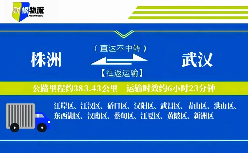 株洲到武汉物流公司
