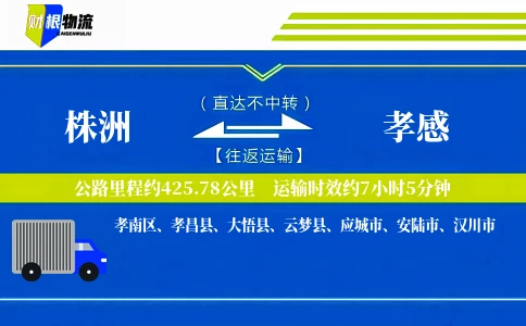 株洲到孝感物流公司