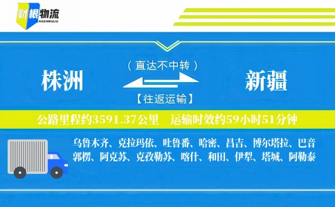 株洲到新疆物流公司