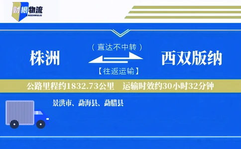 株洲到西双版纳物流公司