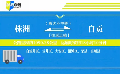 株洲到自贡物流公司