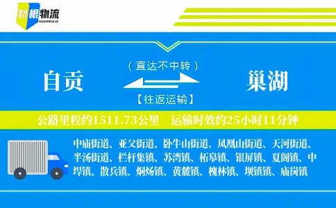 自贡到巢湖物流公司