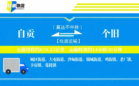 自贡到个旧物流公司