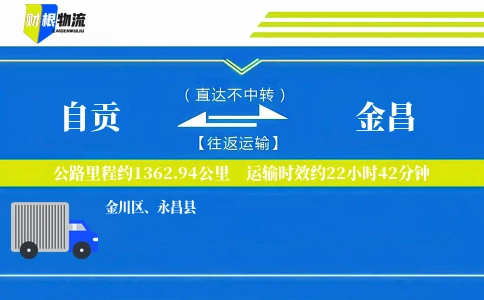 自贡到金昌物流公司
