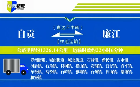 自贡到廉江物流公司