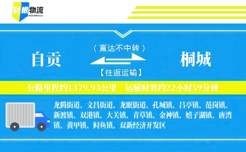 自贡到桐城物流公司