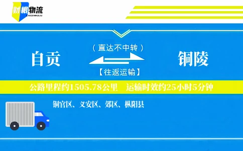 自贡到铜陵物流公司