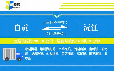 自贡到沅江物流公司